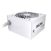 Блок питания Powercase PW700 / White / (80 Plus, ATX 2.31, 700W, APFC, DC-DC, 120mm Fan) / PSW-700W-DC